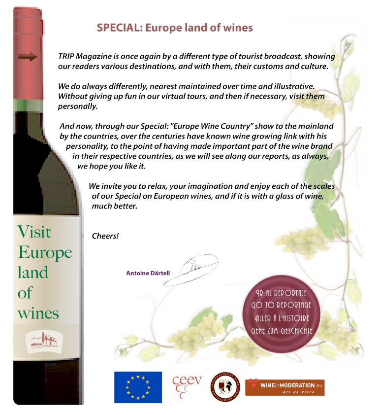 wine Austria
